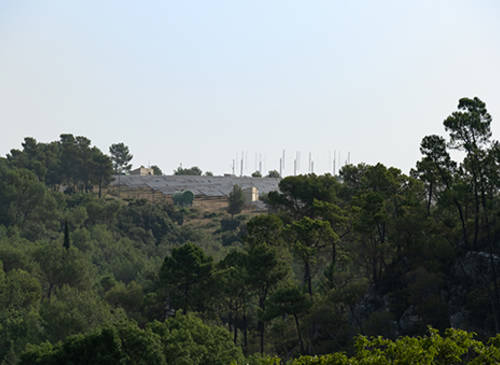 Quinoas pvr   500x365 - Attribut alt par défaut.